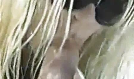 Voyeur Papy auf der gratis omasexfilme Suche nach Französisch Anal